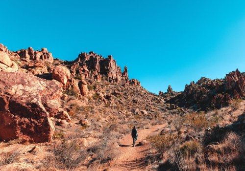 Navigating Rocky Terrains